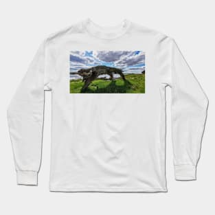 Driftwood Long Sleeve T-Shirt